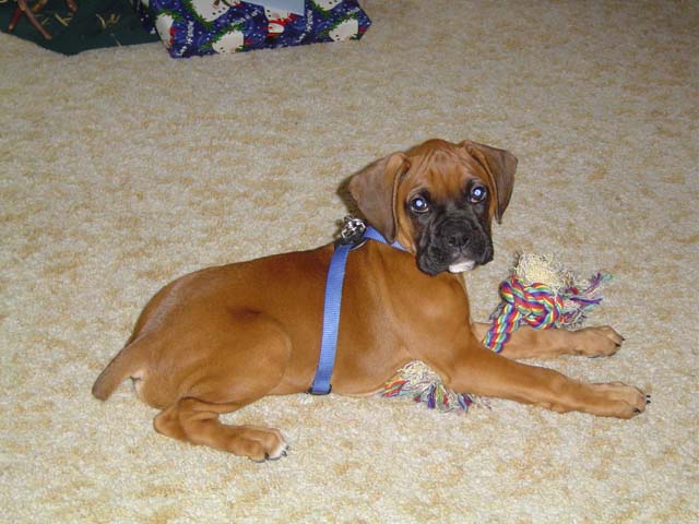 Murphy