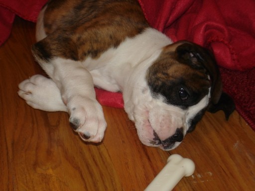 murphy