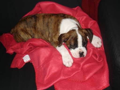 murphy