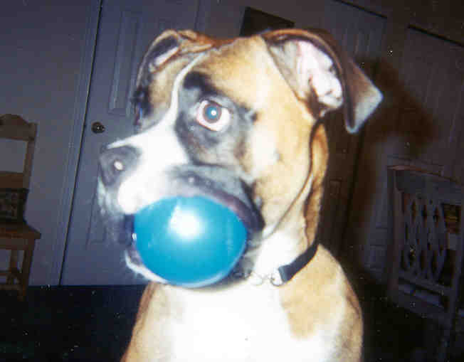Murphy's favorite ball
