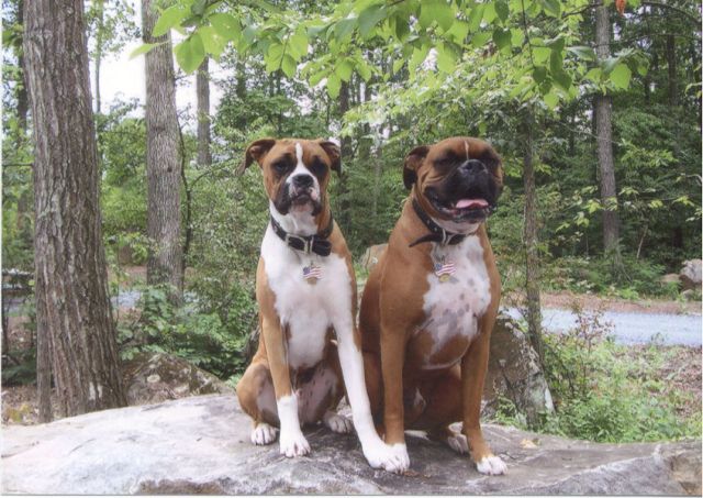 Murray & Larry Camping 2005
