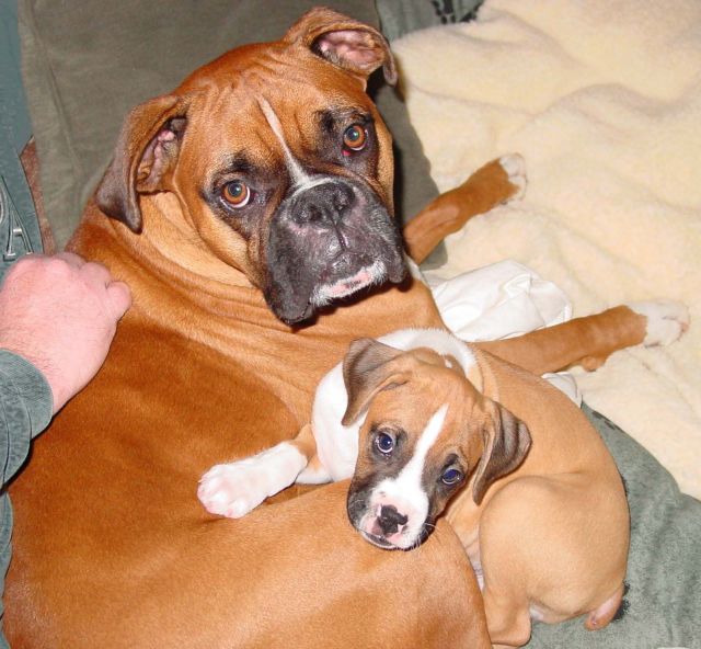 Murray&Larry