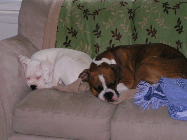 Must be naptime!