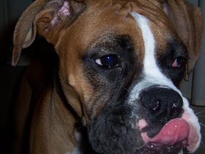 Must be PEANUT BUTTER!!