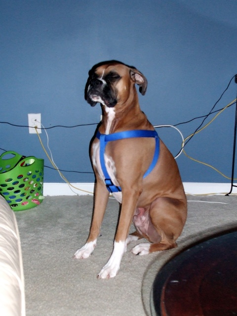 must not get caught blinking--oops!