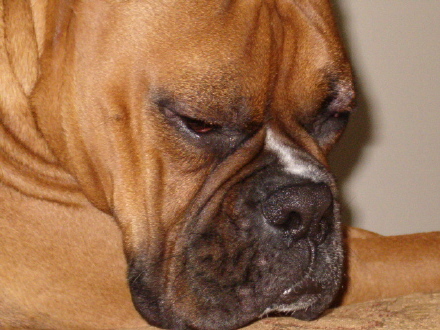 Must...not...sleep...