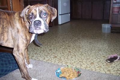 My 1st birthday!