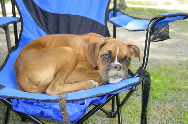 My 1st Camping Trip