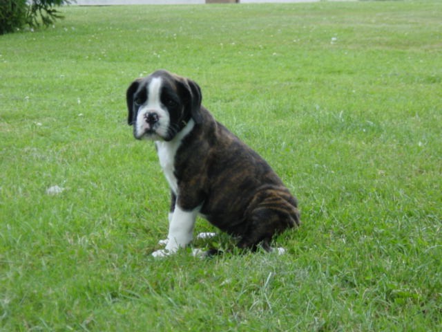 My 1st Picture