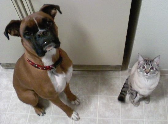 My 2 Boys