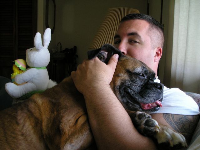 My 54lbs lap dog