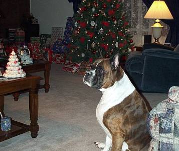 My Abby Xmas 2000