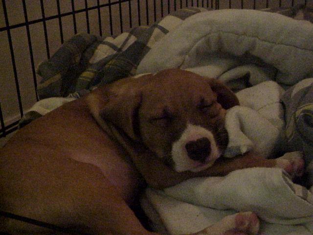 my angel sleeping