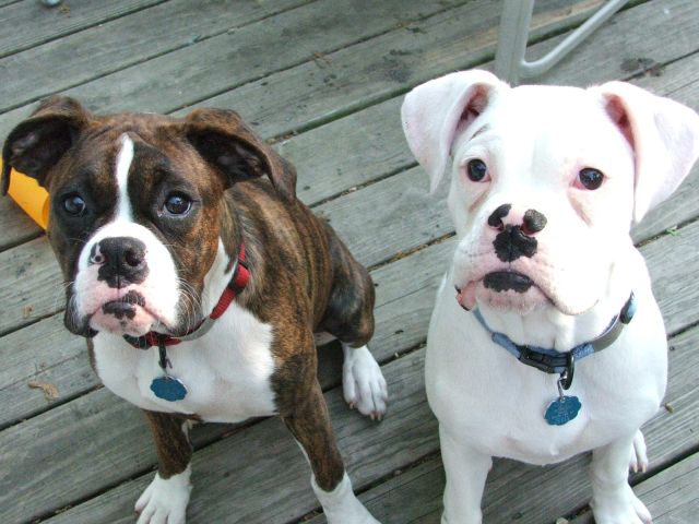 My babies 6 months old May 05