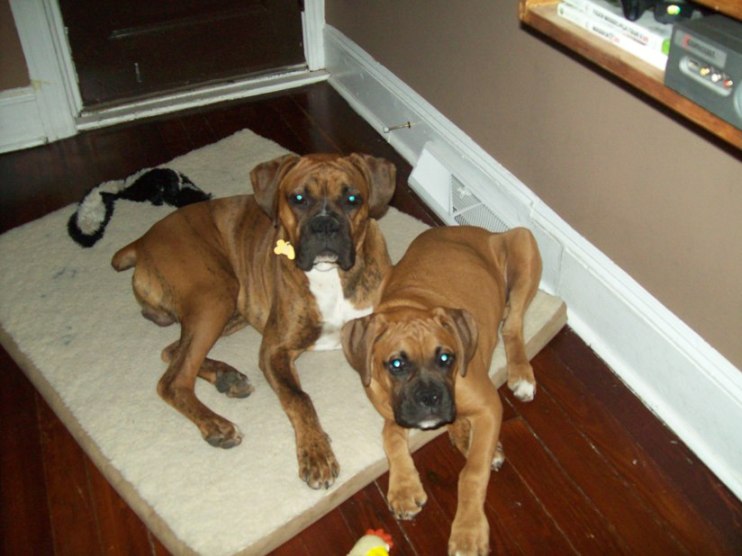 My Babies Again