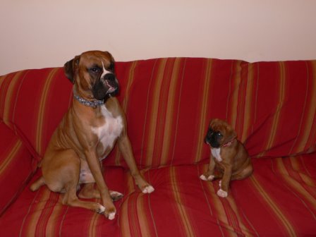 My Babies on the Couch