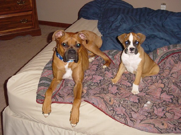 My Babies