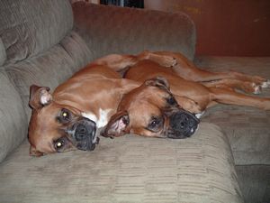 My Babies