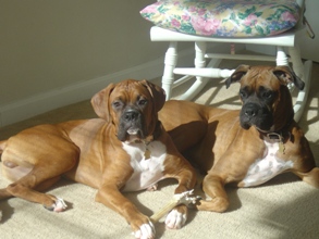My Babies