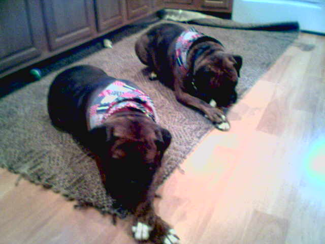 My Babies
