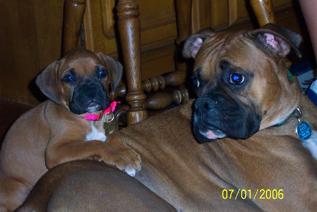 My BABIES