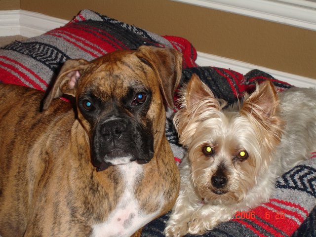 My babies
