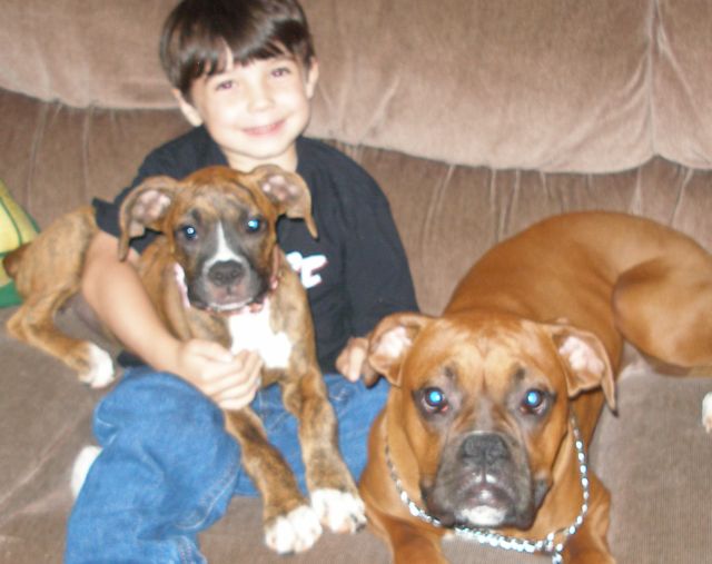 My Babies