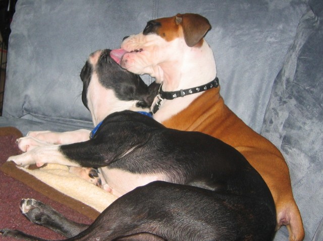 My Babies