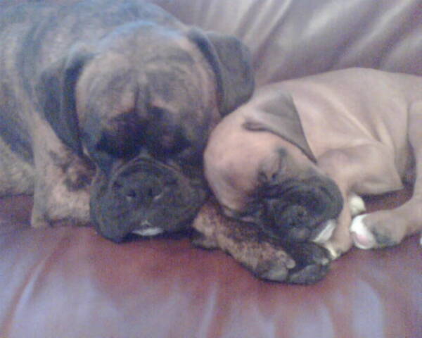 My babies