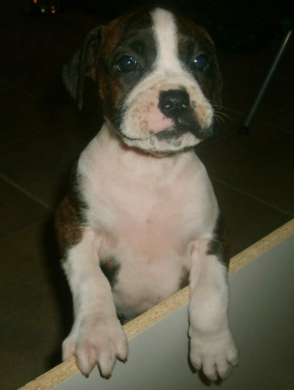 my baby <3