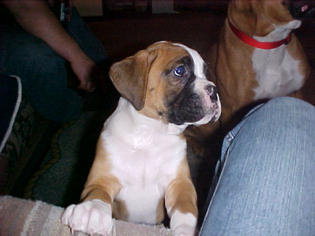 My baby, Ali