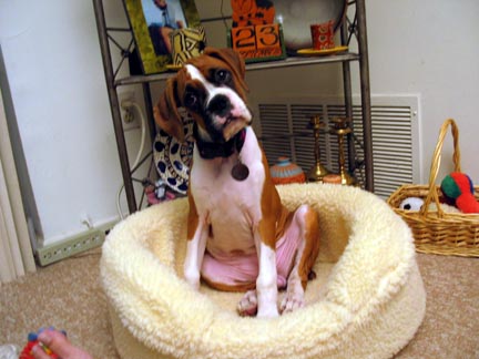 My Baby Bed (I don't fit in it anymore!!!