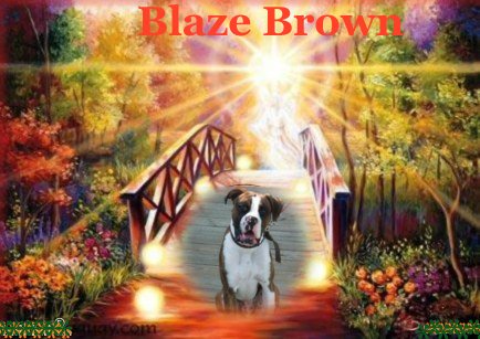 My Baby Blaze