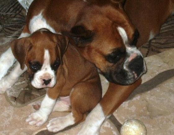 My baby Bo and her mom Arden