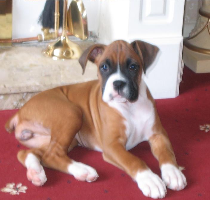 my baby bonnie