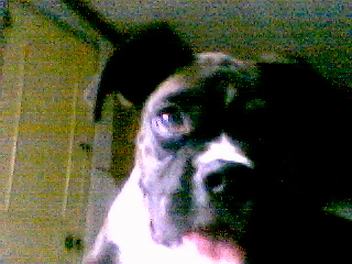 My Baby Boozer