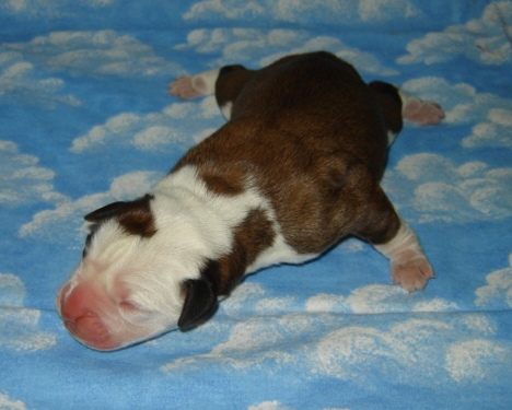 My Baby - Born 01/16/07