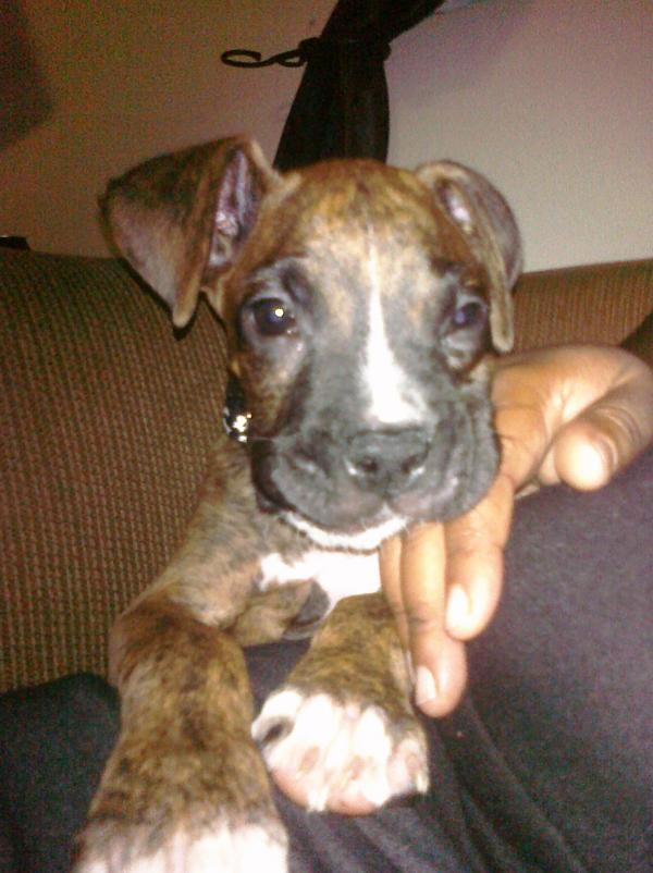 my baby boy Bruno