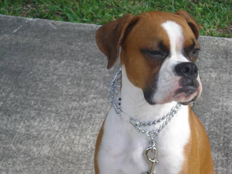 my baby boy romeo