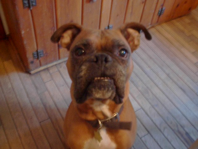 My Baby Boy