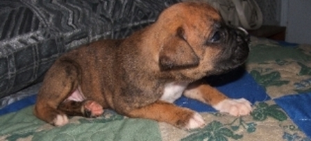 my baby Cairo