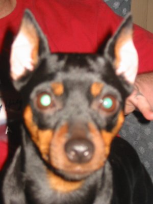 My baby Delilah