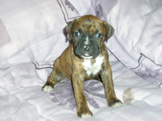 My Baby Girl Emma