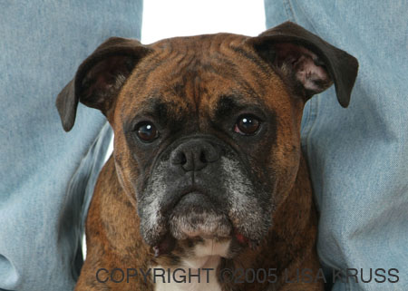 My baby girl Zoe