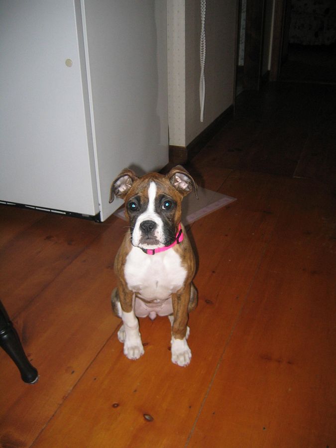 my baby girl