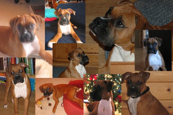 My baby  Growing up!