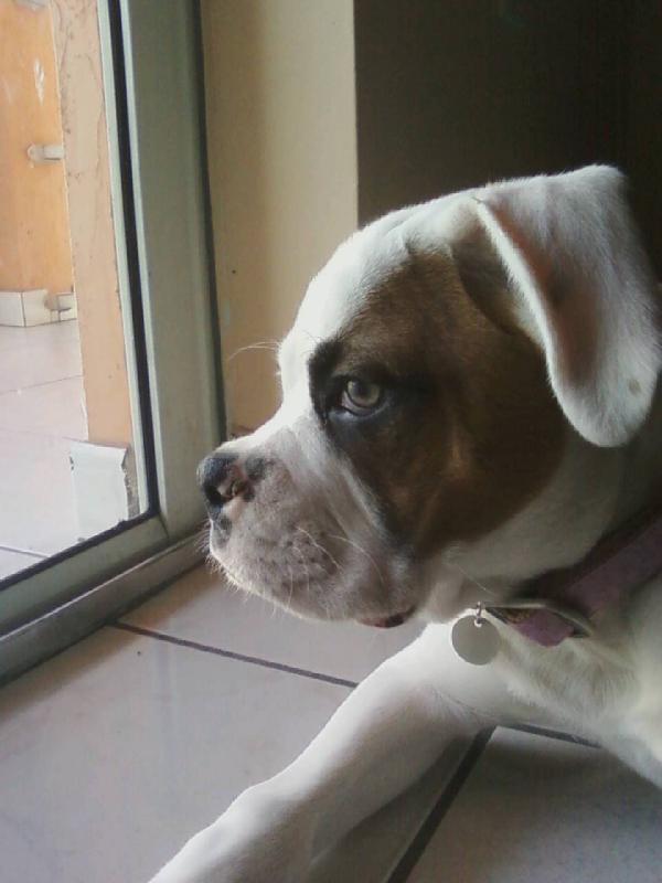 My baby MIA