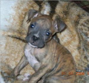 My baby now....
