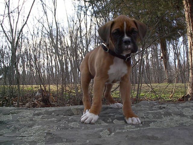 My Baby Picture