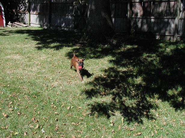 my baby playin ball